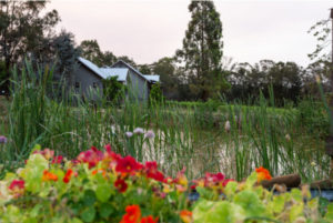 Romantic Packages Hunter Valley