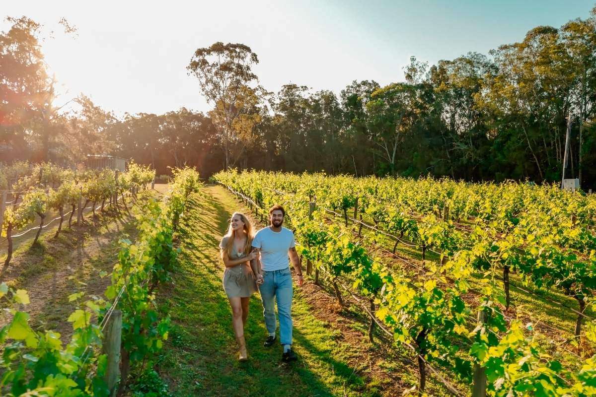 Top 5 Reasons Guests Keep Returning to Hermitage Lodge