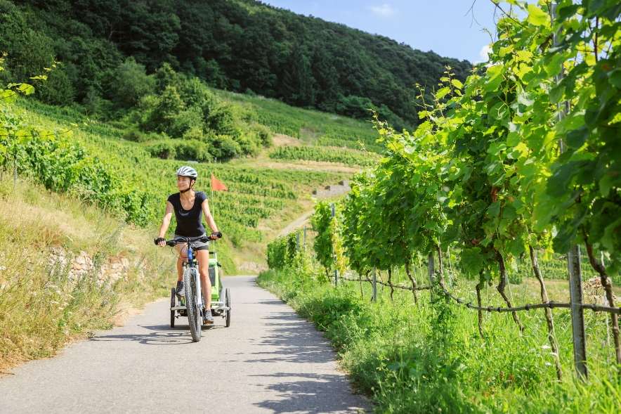 Cycling in Pokolbin: Best Routes + Bike Hire + Safety Tips 1 best cycling routes in pokolbin
