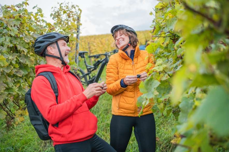 Cycling in Pokolbin: Best Routes + Bike Hire + Safety Tips 3 is pokolbin good for cycling