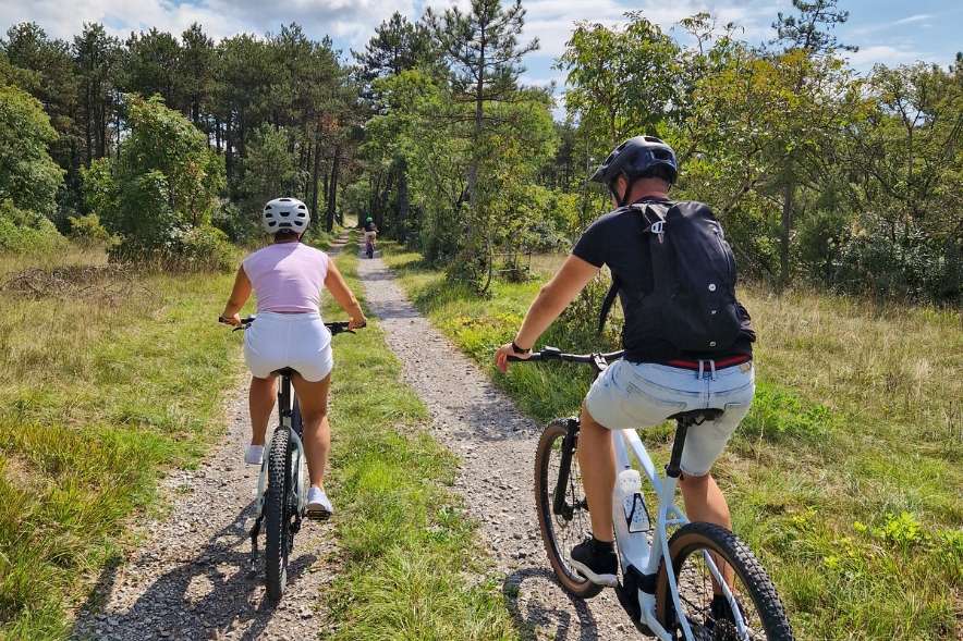 Cycling in Pokolbin: Best Routes + Bike Hire + Safety Tips 5 tips for cycling between wineries in pokolbin