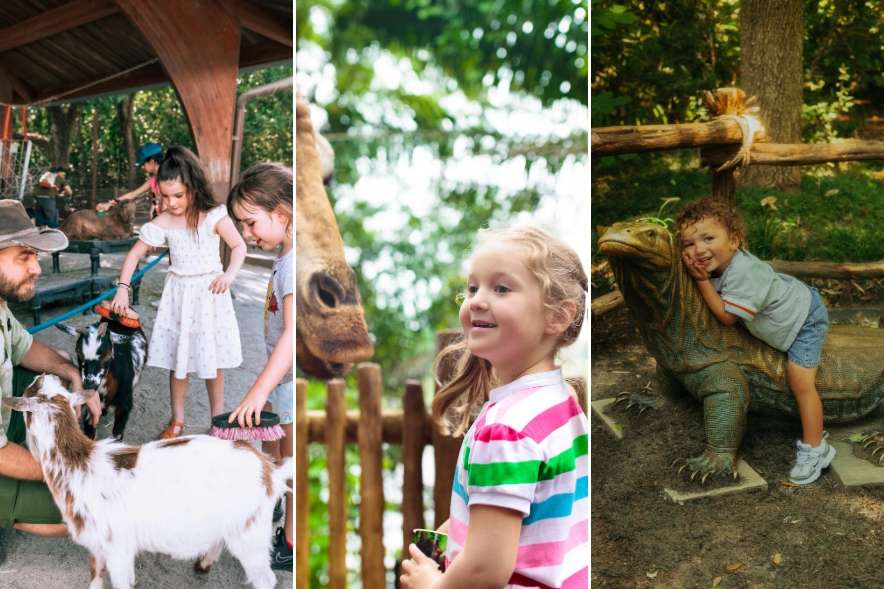 practical tips for visiting hunter valley wildlife park with kids
