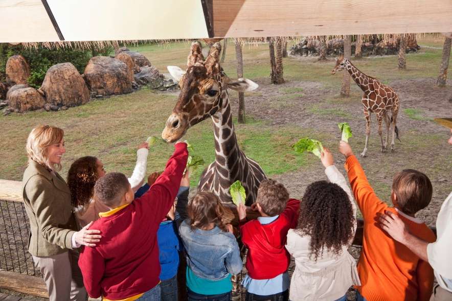 the best wildlife experiences for families