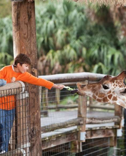 hunter valley wildlife park
